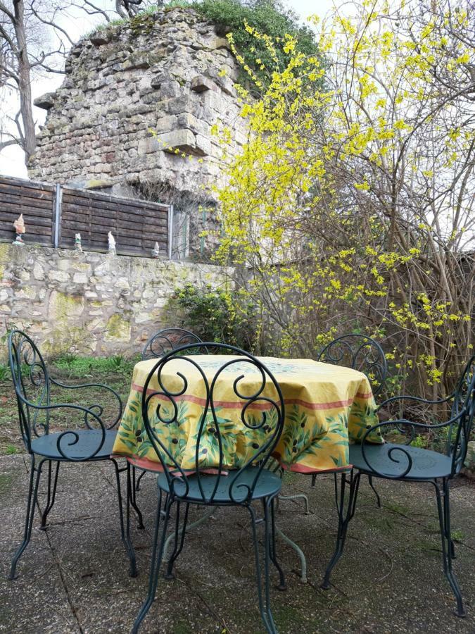 La Maison Fleurie Gites Du Florimont Ingersheim Esterno foto